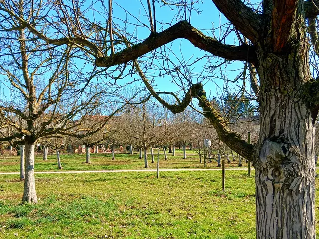 Ein letzter Blick über den Obstgarten, die warme Sonne genießen und dann adieu....... | Foto: sigischlottke