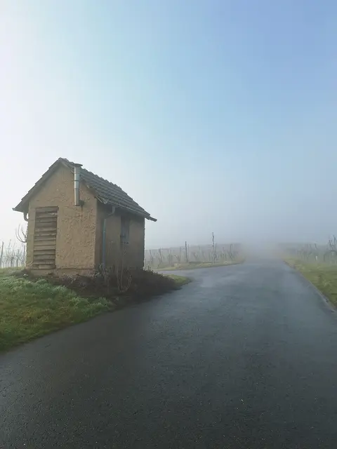 Heuchelberg im Nebel | Foto: Lokale Agenda 21 Leingarten