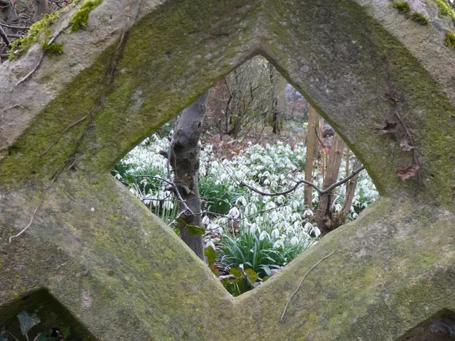 Durchblick..... | Foto: sigischlottke