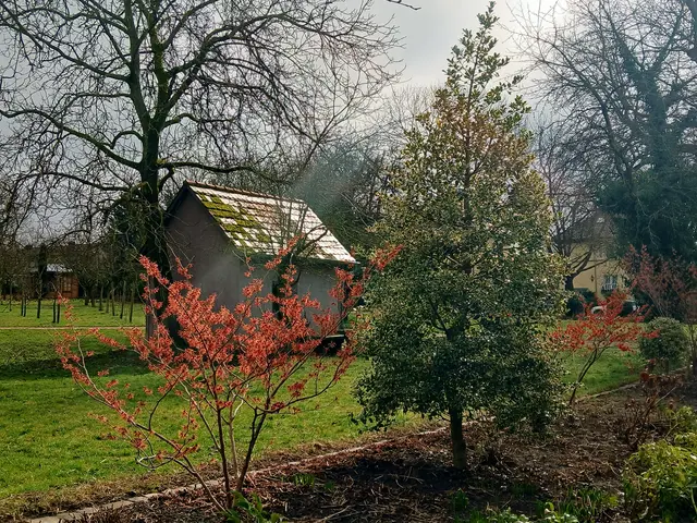 Foto: sigischlottke