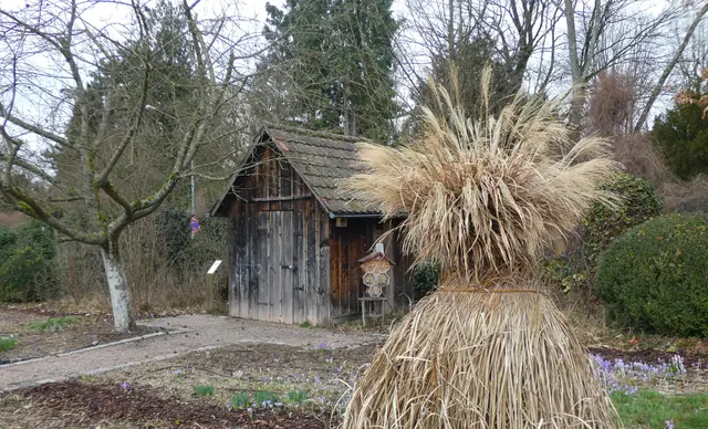 Der Grasbüschel sieht wunderschön aus.  | Foto: sigischlottke