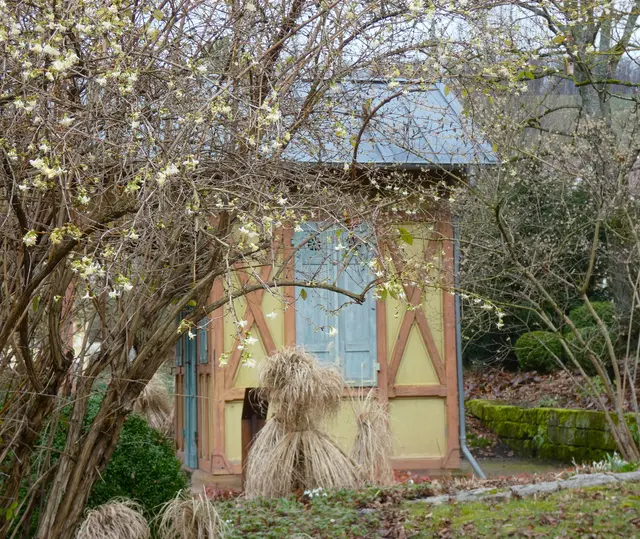 Das hübsche Gartenhaus hat sich hinter der Winterkirsche versteckt.  | Foto: sigischlottke