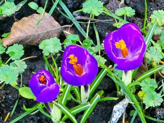 Foto: Heidrun Rosenberger