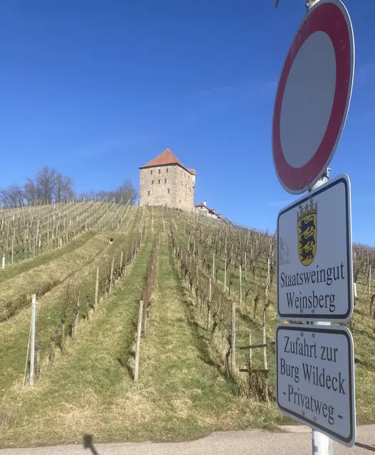 Burg Wildeck Abstatt | Foto: Alexander Förster 