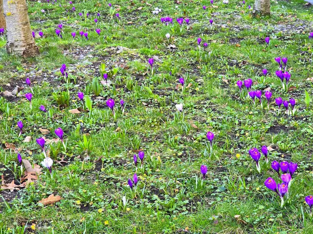 Foto: Heidrun Rosenberger