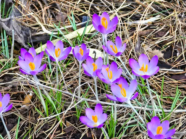 Foto: Heidrun Rosenberger