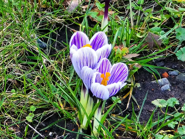 Foto: Heidrun Rosenberger
