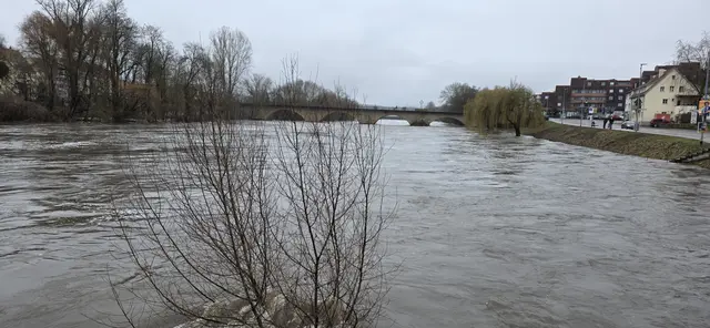 Der Neckar - so hoch angestiegen wie schon lange nicht mehr; im Hintergrund die Alte Neckarbrücke. | Foto: privat Sibylle Tröber