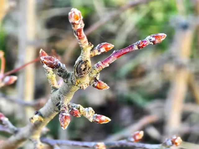 Foto: Heidrun Rosenberger