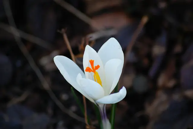 Foto: Heidrun Rosenberger