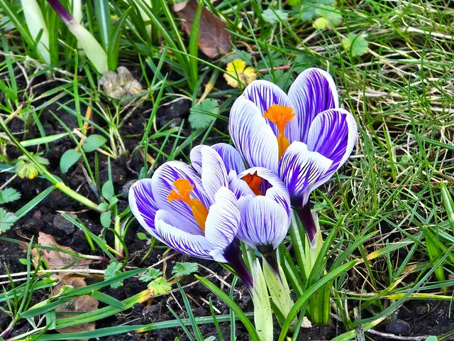 Foto: Heidrun Rosenberger