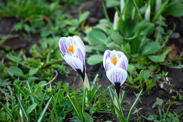 Foto: Heidrun Rosenberger