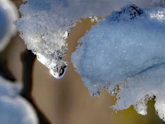 Tropfen im Gegenlicht, wenn der Schnee schmilzt | Foto: KHW