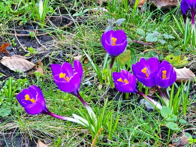Foto: Heidrun Rosenberger