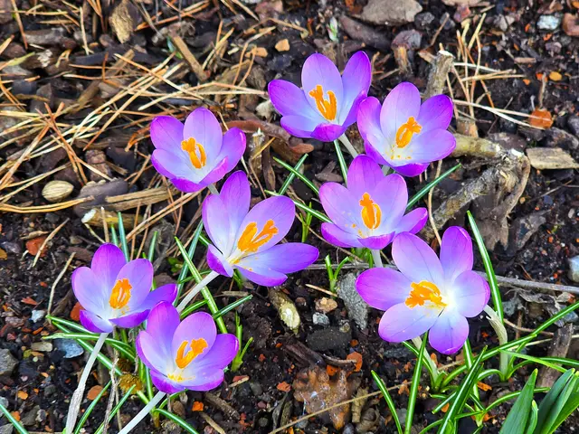 Foto: Heidrun Rosenberger