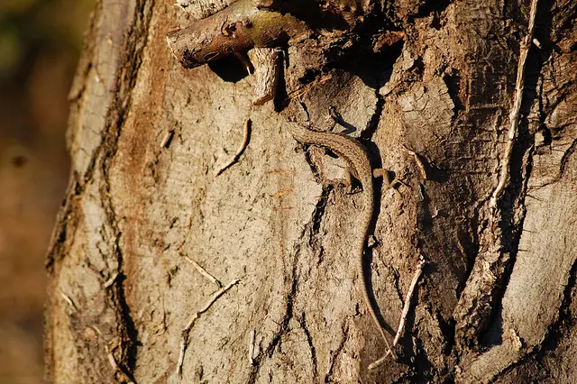 Foto: Heidrun Rosenberger