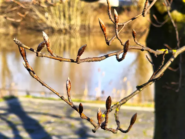 Foto: Heidrun Rosenberger