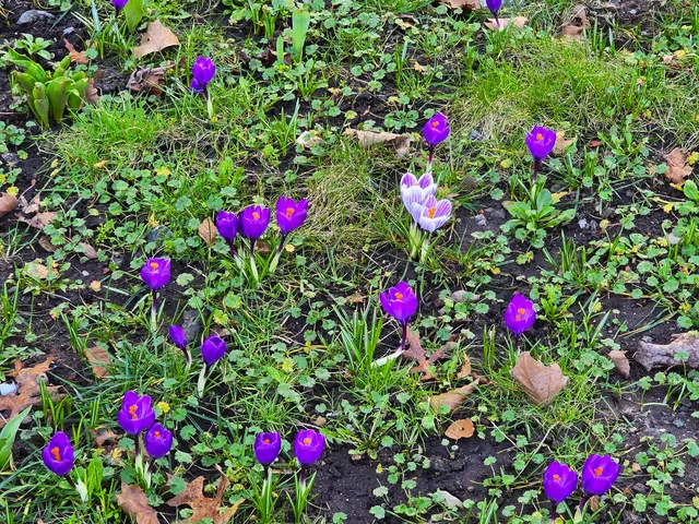 Foto: Heidrun Rosenberger