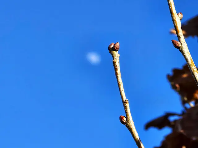 Foto: Heidrun Rosenberger