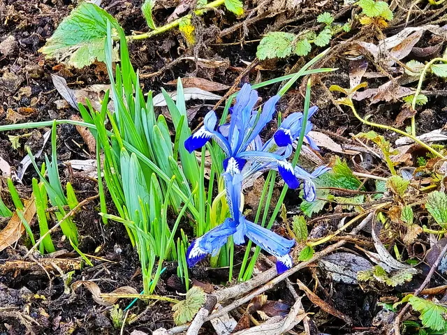 Foto: Heidrun Rosenberger