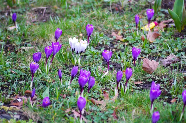 Foto: Heidrun Rosenberger
