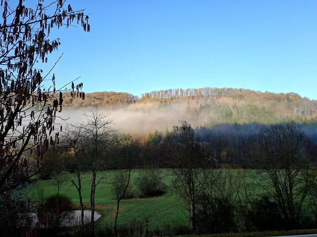Morgenerwachen im Kochertal. Heut wirds schee🌞😎 | Foto: Ralf Röser