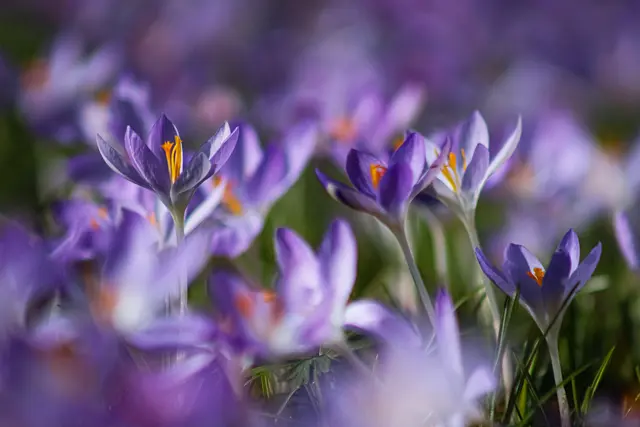 Foto: Stephanie Rüdele