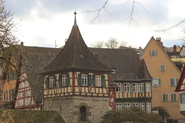 Schwäbisch Hall- Grasbödele- Ackeranlagen🌞😎🌞 | Foto: Ralf Röser