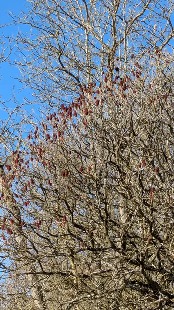 Foto: Eigene Aufnahme