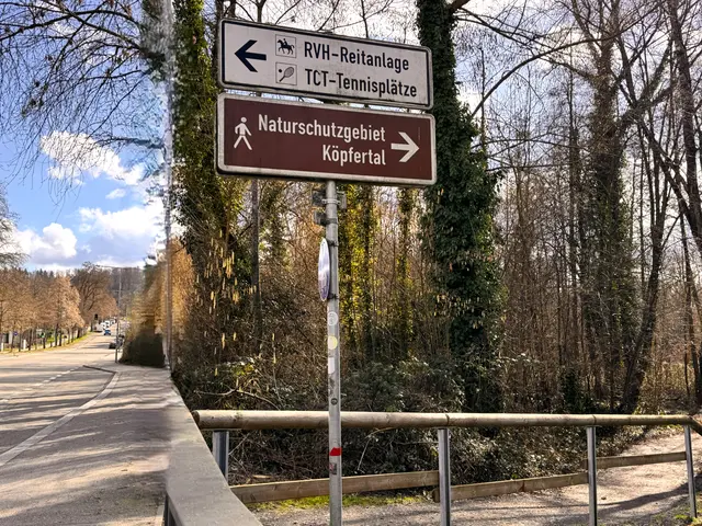 Foto: Heide Böllinger aus Bad Friedrichshall