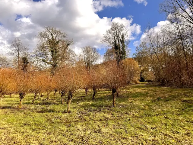 Foto: Heide Böllinger aus Bad Friedrichshall