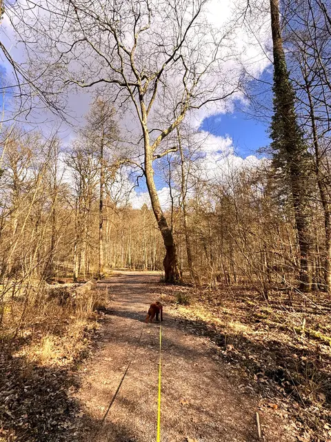 Foto: Heide Böllinger aus Bad Friedrichshall