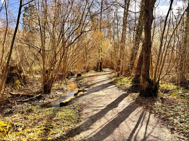 Foto: Heide Böllinger aus Bad Friedrichshall