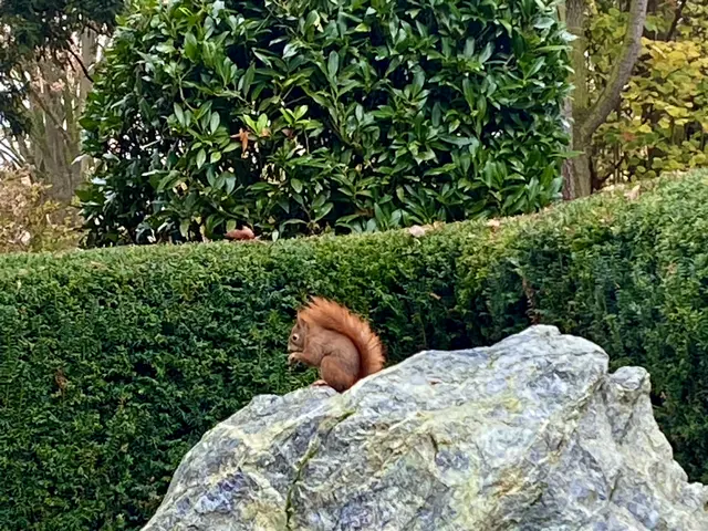 Foto: Heide Böllinger aus Bad Friedrichshall