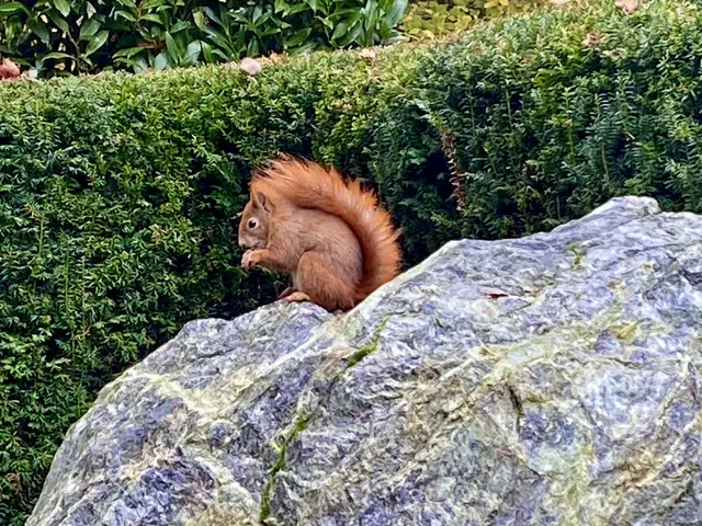 Foto: Heide Böllinger aus Bad Friedrichshall