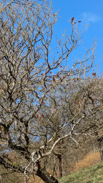 Foto: Eigene Aufnahme