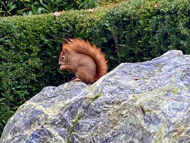 Foto: Heide Böllinger aus Bad Friedrichshall