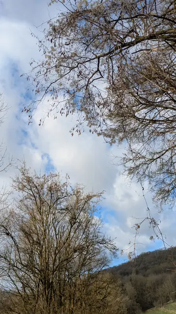 Foto: Eigene Aufnahme