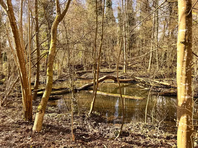 Foto: Heide Böllinger aus Bad Friedrichshall