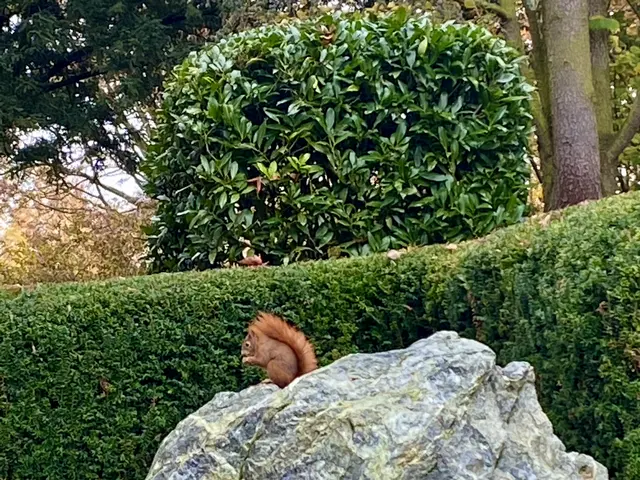 Foto: Heide Böllinger aus Bad Friedrichshall