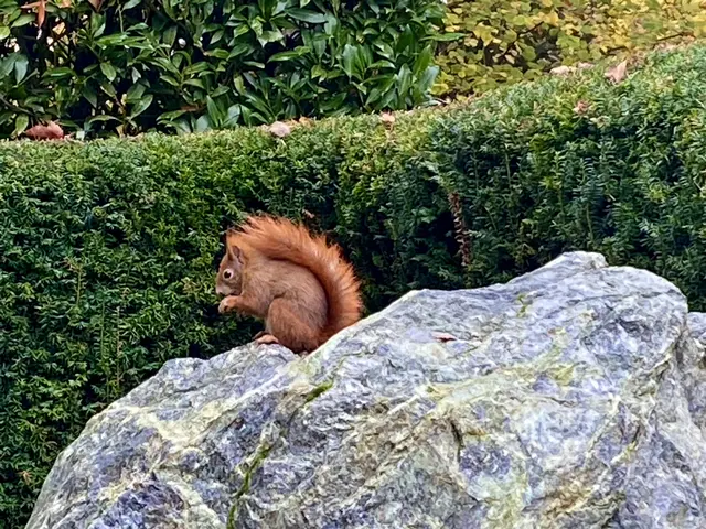 Foto: Heide Böllinger aus Bad Friedrichshall