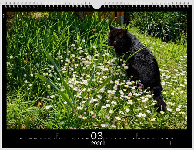 Der Frühling ist da | Foto: WKY