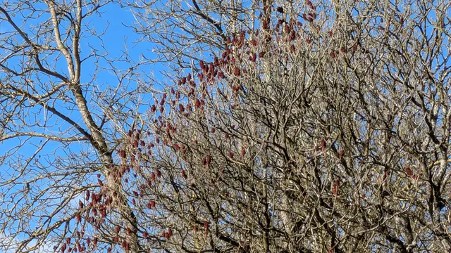 Foto: Eigene Aufnahme