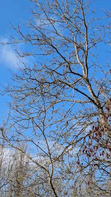 Foto: Eigene Aufnahme