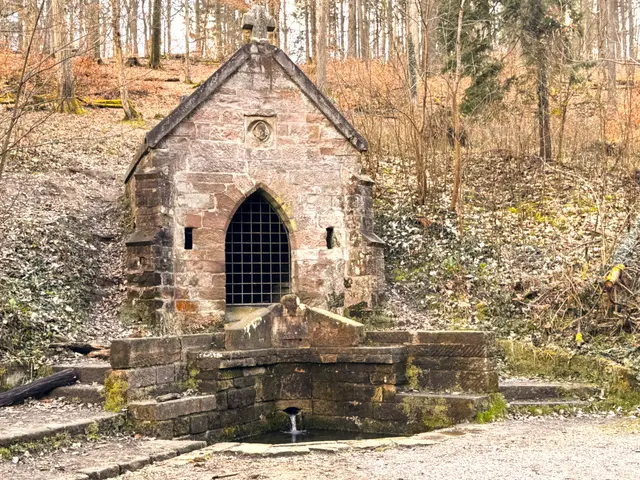 Foto: Heide Böllinger aus Bad Friedrichshall