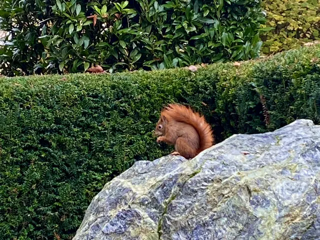 Foto: Heide Böllinger aus Bad Friedrichshall