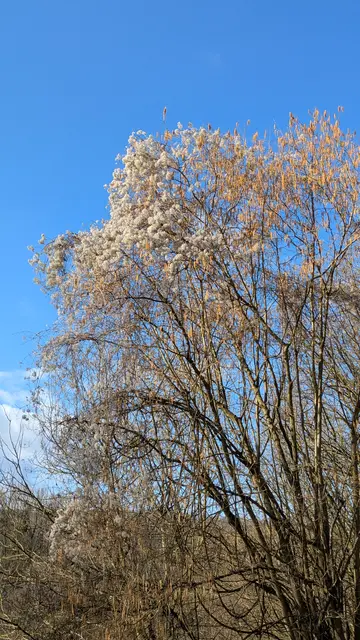 Foto: Eigene Aufnahme