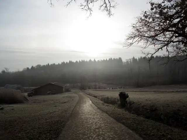 4. Febr.: Eisiges Stadtseetal | Foto: WandernGabyErich