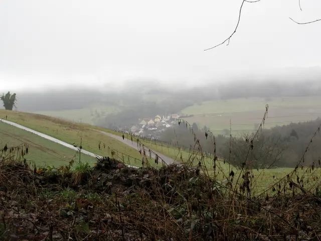 Blick hinunter nach Jettenbach | Foto: WandernGabyErich