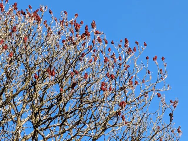 Foto: Eigene Aufnahme